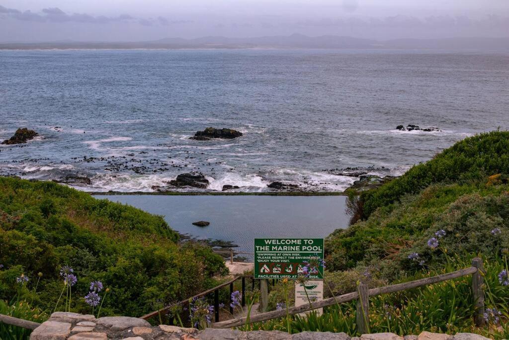 Seaside Serenity: Tranquil Oceanview Retreat *