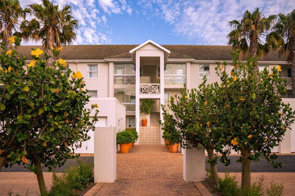 Seaside Serenity: Tranquil Oceanview Retreat